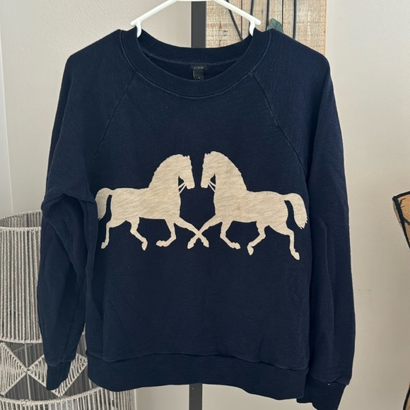 J. Crew Sweaters - J. Crew ladies pullover crewneck size m, pre owned